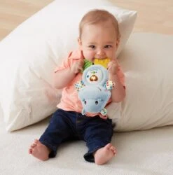 VTech Baby Bijtring Nijlpaardje - Educatief Babyspeelgoed - 0 Tot 24 Maanden -Aanbiedingen BIBS Winkel 1184x1200 12