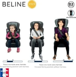 Nania - Autostoel BELINE Animals - Groep 1/2/3 - Meegroeistoel - Van 9 Tot 36 Kg - FLAMINGO -Aanbiedingen BIBS Winkel 1187x1200 10