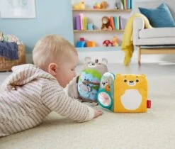 Fisher Price Fisher-Price Knuffelbaar Activiteiten Boekje Baby - Baby Speelgoed -Aanbiedingen BIBS Winkel 1200x1021 1