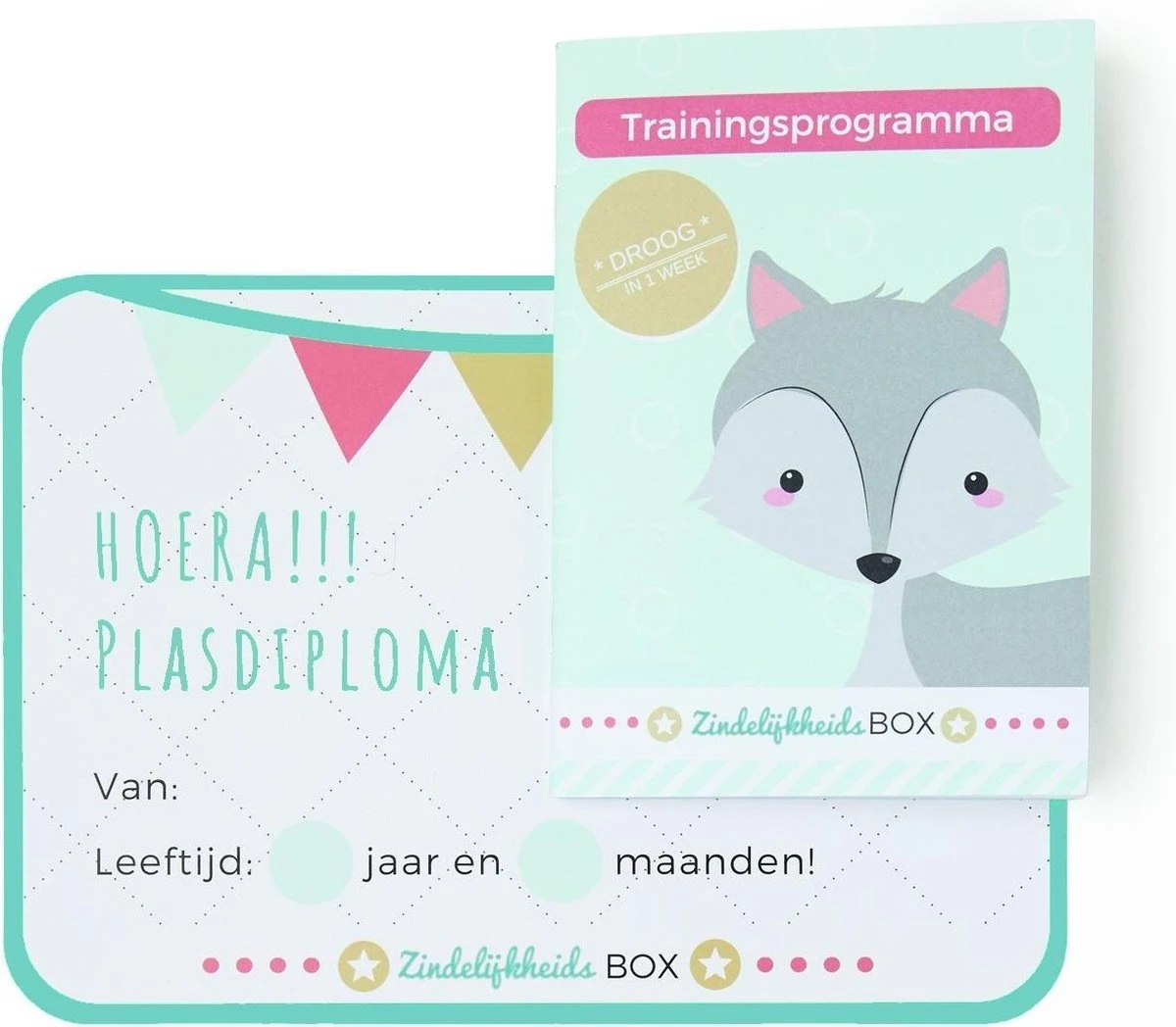 Zindelijkheidsbox - Zindelijkheidstraining Kind - Vanaf 2 Jaar - Incl Beloningssysteem 3 Zindelijkheidsbox - Zindelijkheidstraining Kind - Vanaf 2 Jaar - Incl Beloningssysteem - Afbeelding 3