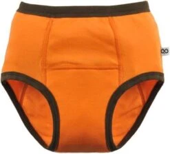 Zoocchini Oefenbroekjes 2-3 Jaar Boy Safari -Aanbiedingen BIBS Winkel 1200x1086 13