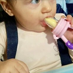 2x Fruitspeen Kinderbestek - Speen Babyvoeding Roze/Paars -Aanbiedingen BIBS Winkel 1200x1193 34