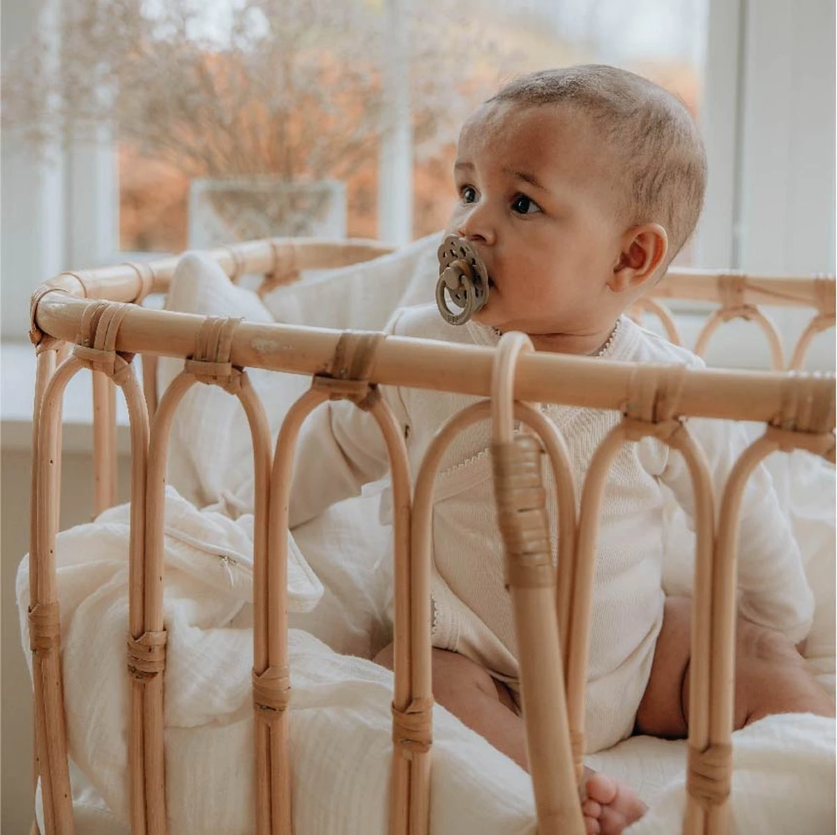 BiBS - Boheme Pacifier - Stage 1 Fopspeen - 2 Stuks - Vanilla / Dark Oak 6 BiBS - Boheme Pacifier - Stage 1 Fopspeen - 2 Stuks - Vanilla / Dark Oak - Afbeelding 6