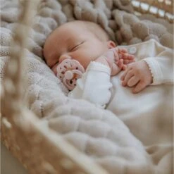 BiBS - Boheme Pacifier - Stage 2 Fopspeen - 2 Stuks - Blossom / Dusky Lilac -Aanbiedingen BIBS Winkel 1200x1198 155