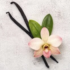 Disney Frozen Frozen Ll - Geurset - Parfum 50ml + Douche Gel 100ml - Cadeautip! -Aanbiedingen BIBS Winkel 1200x1200 1246