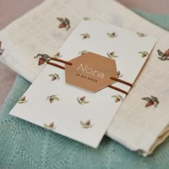 Jollein Hydrofiele Doek 115cm Rosehip 2pack -Aanbiedingen BIBS Winkel 1200x1200 1604