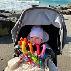 Playgro Boxspiraal Amazing Garden Twirly Whirly - Kinderwagen Speeltje - Activiteitenspiraal -Aanbiedingen BIBS Winkel 1200x1200 1750