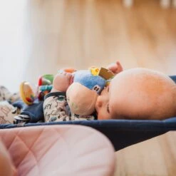 Playgro Clip Clop Rammelaar - Blauw - Activiteitenspeeltje - Kraamkado -Aanbiedingen BIBS Winkel 1200x1200 1853