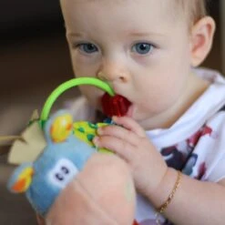 Playgro Clip Clop Rammelaar - Blauw - Activiteitenspeeltje - Kraamkado -Aanbiedingen BIBS Winkel 1200x1200 1855