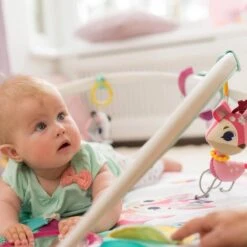 Tiny Love Deluxe Babygym - Princess Tales - Roze -Aanbiedingen BIBS Winkel 1200x1200 2030