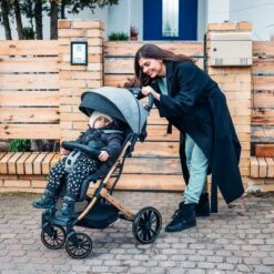 MoMi Wandelwagen - Compacte Lichtgewicht Buggy - Estelle Dakar Met XXL Wielen & Zonnekap - Leopard - Grijs-Goud (geschikt Van 6mnd - 22kg) 29 MoMi Wandelwagen - Compacte Lichtgewicht Buggy - Estelle Dakar Met XXL Wielen & Zonnekap - Leopard - Grijs-Goud (geschikt Van 6mnd - 22kg) -Aanbiedingen BIBS Winkel 1200x1200 3528