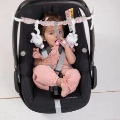 Autostoelspeeltje Nijntje Pink Baby 15 Autostoelspeeltje Nijntje Pink Baby -Aanbiedingen BIBS Winkel 1200x1200 3741