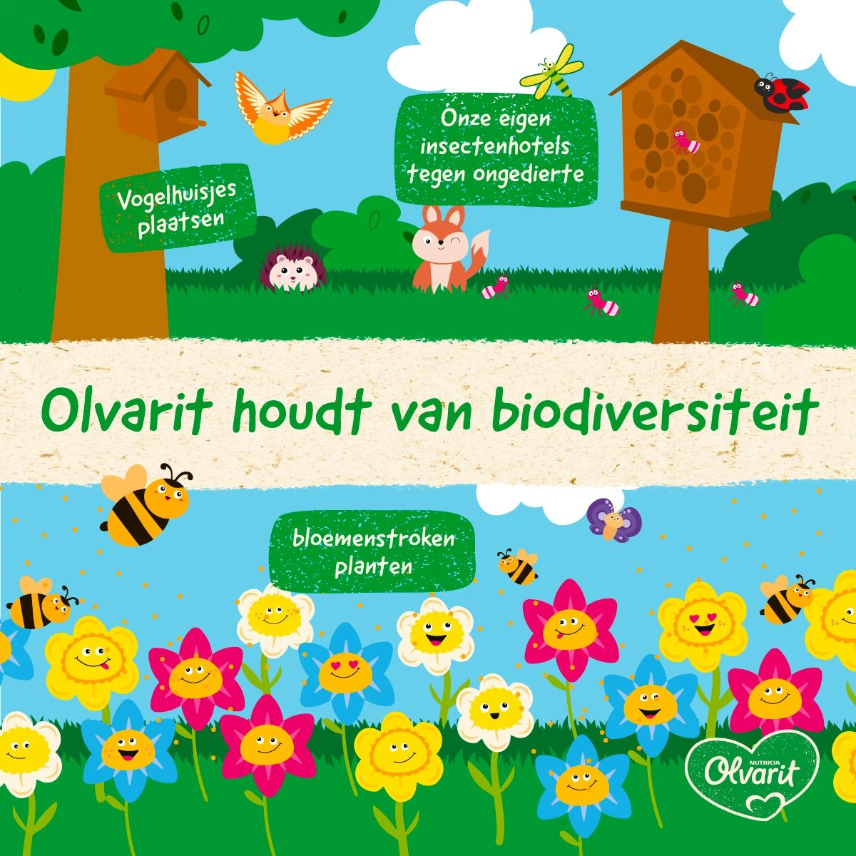 Olvarit Knijpfruit 12+ Maanden - Banaan Kiwi Aardbei - 6 X 100g 2 Olvarit Knijpfruit 12+ Maanden - Banaan Kiwi Aardbei - 6 X 100g - Afbeelding 2