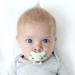 Difrax Fopspeen 6+ Maanden Dental - Lichtgroen/Pistache - Orthodontische Speen - 2 Stuks -Aanbiedingen BIBS Winkel 1200x1200 5098