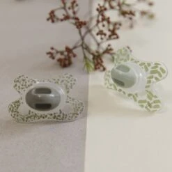 Difrax Fopspeen 0-6 Maanden Natural Speen - Bamboo/Groen - 2 Stuks -Aanbiedingen BIBS Winkel 1200x1200 5161