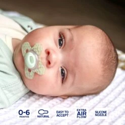 Difrax Fopspeen 0-6 Maanden Natural Speen - Bamboo/Groen - 2 Stuks -Aanbiedingen BIBS Winkel 1200x1200 5162