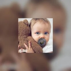 4 Bibs Fopspenen Black, Smoke, Sage En Dark Oak (6-18maanden) -Aanbiedingen BIBS Winkel 1200x1200 5167