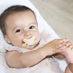 Difrax Fopspeen 6+ Maanden Natural Speen - Forest/Snow/Summer/Mountains - 4 Stuks -Aanbiedingen BIBS Winkel 1200x1200 5215