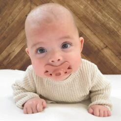 Difrax Fopspeen 0-6 Maanden Dental - Lichblauw/Grijs/Lichtroze/Roodbruin - Orthodontische Speen - 4 Stuks -Aanbiedingen BIBS Winkel 1200x1200 5226