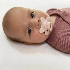 Difrax Fopspeen 12+ Maanden Dental - Lichtroze/Blossom - Orthodontische Speen - 2 Stuks -Aanbiedingen BIBS Winkel 1200x1200 5320