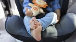 Lionelo Bastiaan - Autostoel - 360° Draaibaar - ISOFIX -Aanbiedingen BIBS Winkel 1200x675 35