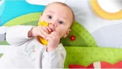 Tiny Love Supermat Speelmat - Meadow Days 24 Tiny Love Supermat Speelmat - Meadow Days -Aanbiedingen BIBS Winkel 1200x678 3