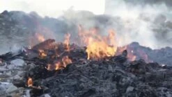 ECOBOOM Bamboe Eco Wegwerp Luiers 90 STUKS - Maat 1, Maat 2 (Small 3-8kg) - Bambo Luier - Meest Natuurlijke, Duurzame En Ecologisch Bamboo Luierbroekje- Organische Wegwerpluier - Eco Luiers - Bio Luiers -Aanbiedingen BIBS Winkel 1200x679