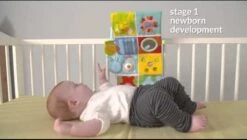 Taf Toys Activity Center Voor Aan De Box, Campingbed Of Los Te Gebruiken, Met Muziek En Licht – 0 Tot 24 Maanden 35 Taf Toys Activity Center Voor Aan De Box, Campingbed Of Los Te Gebruiken, Met Muziek En Licht – 0 Tot 24 Maanden -Aanbiedingen BIBS Winkel 1200x682 6