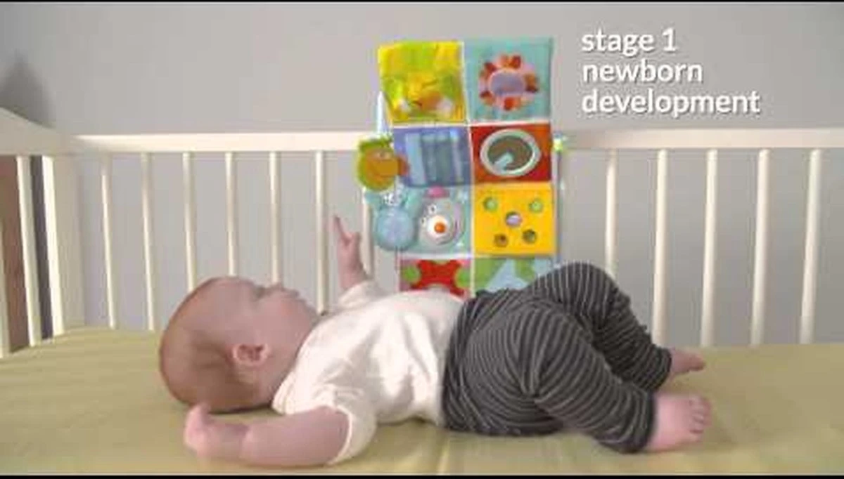 Taf Toys Activity Center Voor Aan De Box, Campingbed Of Los Te Gebruiken, Met Muziek En Licht – 0 Tot 24 Maanden 16 Taf Toys Activity Center Voor Aan De Box, Campingbed Of Los Te Gebruiken, Met Muziek En Licht – 0 Tot 24 Maanden - Afbeelding 16