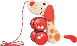 Hape Walk-a-long Puppy -Aanbiedingen BIBS Winkel 1200x720 1