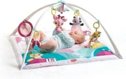 Tiny Love Deluxe Babygym - Princess Tales - Roze -Aanbiedingen BIBS Winkel 1200x759 3