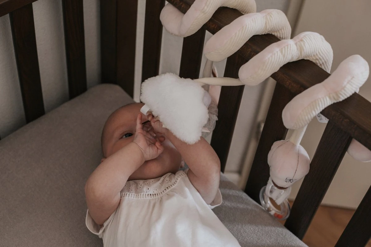 Tryco Zwaan Ivy Boxspiraal TR-243304 6 Tryco Zwaan Ivy Boxspiraal TR-243304 - Afbeelding 6