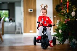 Lionelo Haari - Driewieler - Drankhouder - 2in1 - Tot 36+ -Aanbiedingen BIBS Winkel 1200x799 158