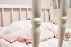 Meyco Clouds/Dots/Feathers Starterset - 9-pack - Hydrofiel - Pink 5 Meyco Clouds/Dots/Feathers Starterset - 9-pack - Hydrofiel - Pink -Aanbiedingen BIBS Winkel 1200x800 144