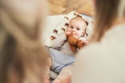 Jollein Hydrofiel Multidoek 115x115cm - Savannah - 2 Stuks -Aanbiedingen BIBS Winkel 1200x800 184