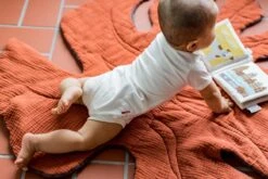 Zacht Babyboekje Amsterdam - 100% Katoen - Fairly Made - In Mooie Geschenkverpakking - Duurzaam En Origineel Kraamcadeau -Aanbiedingen BIBS Winkel 1200x800 245