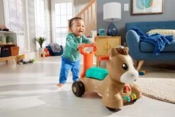 Fisher Price Fisher-Price Pony Loopvriendje - Looptrainer Baby - Bruin - Groen -Aanbiedingen BIBS Winkel 1200x800 251