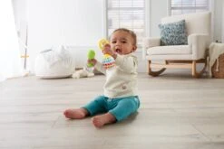 Fisher Price Fisher-Price Maracas - Rammelaar -Aanbiedingen BIBS Winkel 1200x800 283