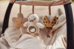 Jollein Wagenspanner - Spring Garden -Aanbiedingen BIBS Winkel 1200x800 315