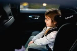 Lionelo Bastiaan - Autostoel - 360° Draaibaar - ISOFIX -Aanbiedingen BIBS Winkel 1200x800 337