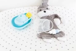 Neuszuiger Voor Baby - Nûby 14 Neuszuiger Voor Baby - Nûby -Aanbiedingen BIBS Winkel 1200x800 38