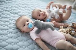 Philips Avent Snuggle SCF348/14 Knuffelspeen - 0-6 Maanden - Zeehondje -Aanbiedingen BIBS Winkel 1200x800 670