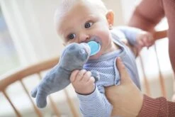 Philips Avent Snuggle SCF348/14 Knuffelspeen - 0-6 Maanden - Zeehondje -Aanbiedingen BIBS Winkel 1200x800 672