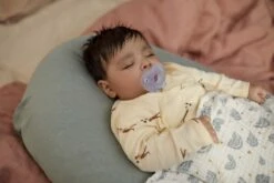 Philips Avent Soothie SCF099/22 - Fopspeen - 0-6 MAANDEN - 2 Stuks -Aanbiedingen BIBS Winkel 1200x800 692