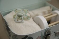 Difrax Fopspeen 12+ Maanden Nature Speen - Rocks/Groen/Grijs - 2 Stuks -Aanbiedingen BIBS Winkel 1200x800 704