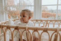 BiBS - Boheme Pacifier - Stage 2 Fopspeen - 2 Stuks - Woodchuck / Blush -Aanbiedingen BIBS Winkel 1200x800 711