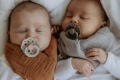 Bibs Fopspeen - Maat 2 6-18 Maanden - Boheme Blossom -Aanbiedingen BIBS Winkel 1200x800 744