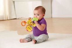 VTech Baby Brul & Speel Rammelaar - Educatief Babyspeelgoed - Bijtring - 3 Tot 24 Maanden 8 VTech Baby Brul & Speel Rammelaar - Educatief Babyspeelgoed - Bijtring - 3 Tot 24 Maanden -Aanbiedingen BIBS Winkel 1200x801 20