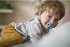 Philips Avent Ultra Air Fopspeen Blauw Leeuw/beer 18m+ -Aanbiedingen BIBS Winkel 1200x807 14