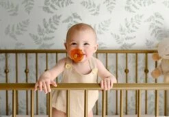 Natursutten Rubberen Fopspeen - 0-6 Maanden - Rond Schild - Kers Tuit 12 Natursutten Rubberen Fopspeen - 0-6 Maanden - Rond Schild - Kers Tuit -Aanbiedingen BIBS Winkel 1200x831 13